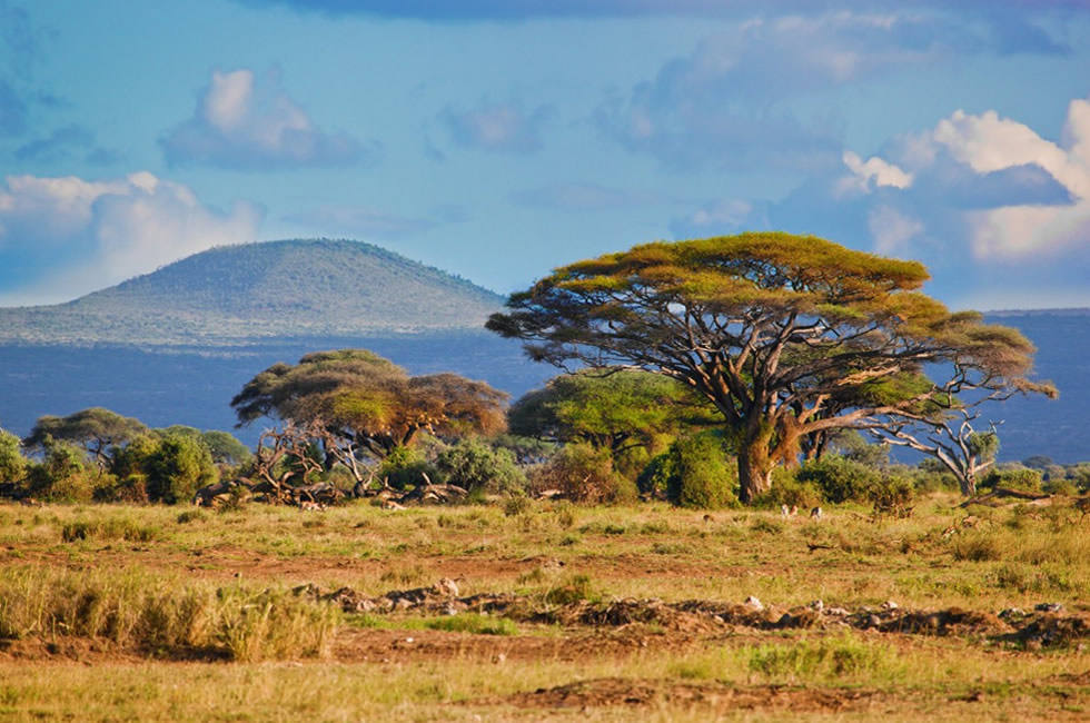 13 Day Tour East Africa
