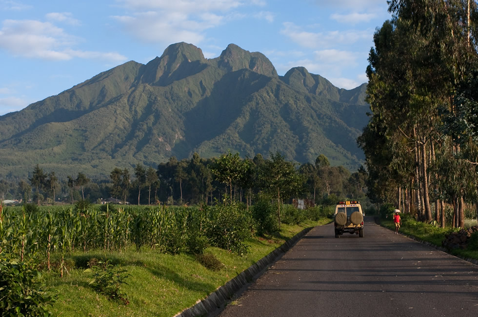 Planning a Perfect Rwanda Safari